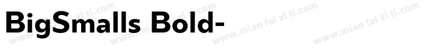 BigSmalls Bold字体转换